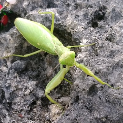 JukeboxTadashi's profile picture. 