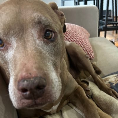 d7h7f7's profile picture. 