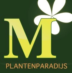 wij zijn een Tuincentrum, gespecialiseerd in kamer en tuinplanten.
Hofweg 6 
2251LP Voorschoten