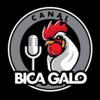 CANAL BICA GALO (@canalbicagalo) 's Twitter Profile Photo CANAL BICA GALO (@canalbicagalo) 's Twitter Profile Photo