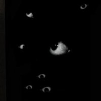 Anemoia Band (@anemoiaband_) 's Twitter Profile
