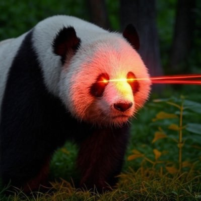 cautiousPanda6's profile picture. 