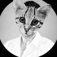 Leopardus Pardalis (@defaultusert) 's Twitter Profile Photo Leopardus Pardalis (@defaultusert) 's Twitter Profile Photo