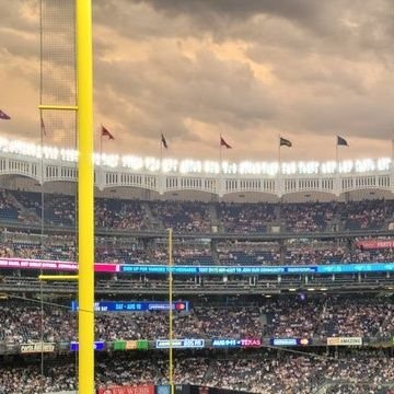 NYY99NYJ08NYR20's profile picture. NYY • NYJ • NYR