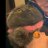 Ok_tavy's profile image