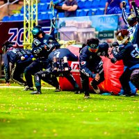けんぶー (@kenboo_crow) 's Twitter Profile