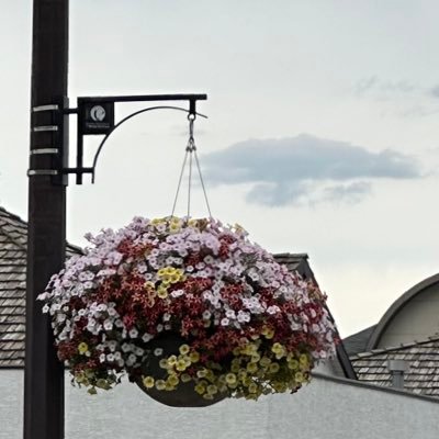 BashT_22's profile picture. 