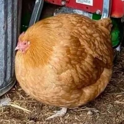 Widespinningto1's profile picture. 19