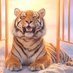 Machli (@tigermachli) Twitter profile photo Machli (@tigermachli) Twitter profile photo