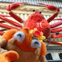 クラブ日記 (@nico2_krabby) 's Twitter Profile Photo