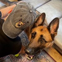 Jack Jensen (@jensenjack) 's Twitter Profile