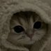 wittman (@wittmanlol) Twitter profile photo wittman (@wittmanlol) Twitter profile photo