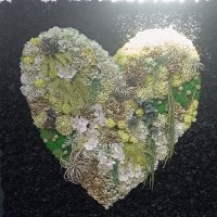 kiitos523(sato🚀) (@kiitos0302) Twitter profile photo