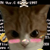ducky (@didgeridew) 's Twitter Profile