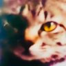 inoue0925's profile picture. ★広島市生まれです。 ★ネコが好きです。 ★Led Zeppelin 広島公演(1971年9月27日)が初ライヴ体験です。