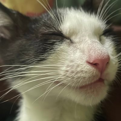 118Charly's profile picture. 