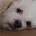 rladls716 (@dummysnail) Twitter profile photo rladls716 (@dummysnail) Twitter profile photo