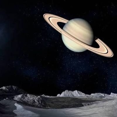 THEPREDICTOR05's profile picture. 