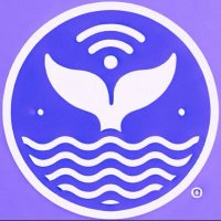 Smart Whale Alert by DEX3.AI (@smartwhales_) 's Twitter Profile