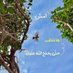رُورُو 𓂆. (@rbha_fw34950) Twitter profile photo رُورُو 𓂆. (@rbha_fw34950) Twitter profile photo