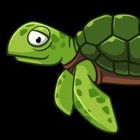 🐢 (@max1mum3ffort) 's Twitter Profile