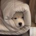 เกี๊ยว 🥟 (@errormint) Twitter profile photo เกี๊ยว 🥟 (@errormint) Twitter profile photo