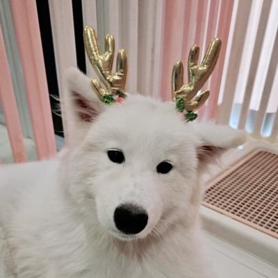 asteroide_p's profile picture. happy me. | INFP 4w5 sx/sp