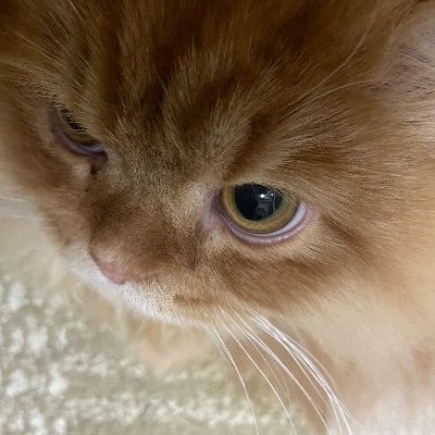PZqKhOl3Hk12752's profile picture. 