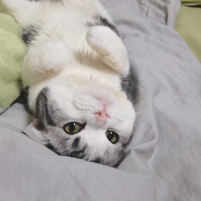 JingZe26041's profile picture. I am a last-year undergraduate student in Tsinghua University (THU), Beijing. I am also a research intern at General Vision Lab, BIGAI.