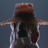 Mannhof (@igofoh) 's Twitter Profile Photo Mannhof (@igofoh) 's Twitter Profile Photo
