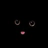 CattoKIRS's profile picture. 😸