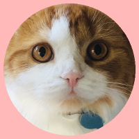 しんゆりストリングオーケストラ【公式】 (@shinyuristring) 's Twitter Profile