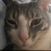 Dung Pouch Gizmo (@dungpouchgizmo) Twitter profile photo Dung Pouch Gizmo (@dungpouchgizmo) Twitter profile photo