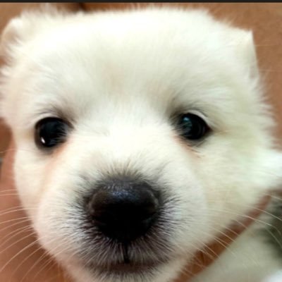 ybagel83's profile picture. 