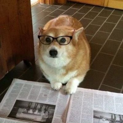 eeeeeeewwwwwwwo's profile picture. 