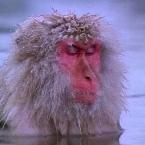 spinkusama86161's profile picture. 