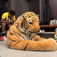Steven (@stevberg34) 's Twitter Profile