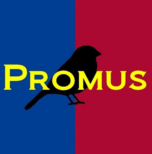 PromusWebdesign's profile picture. Promus Webdesign ontwerpt en bouwt websites