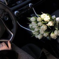 سَاره (@13smoha) 's Twitter Profile