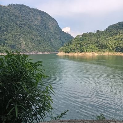 yeisond72240880's profile picture. 