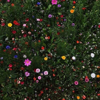 Muxtasar01's profile picture. 