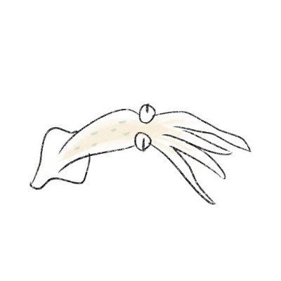 イカ王さんのプロフィール画像