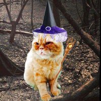 cacicu_ceco (@wonghepiii) 's Twitter Profile