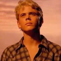 IM LITERALLY PONYBOY CURTIS‼️‼️ (@weirdly_shaped) 's Twitter Profile