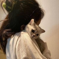 Rana R Elsayed (@ranarelsayed) Twitter profile photo