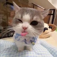 Luna (@iminaaani) 's Twitter Profile Photo