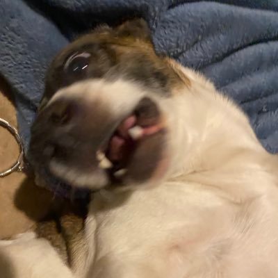 flornubomg's profile picture. florhub pero más de hermanas  yk