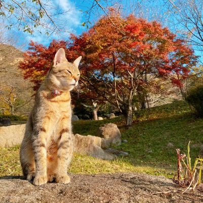 kennie_524's profile picture. 