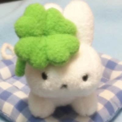 은여さんのプロフィール画像
