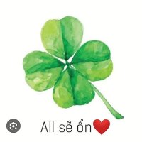 Bảo Bảo AQ97 (@baobaovb) 's Twitter Profile